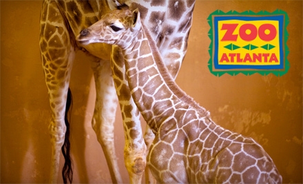 Zoo Atlanta 